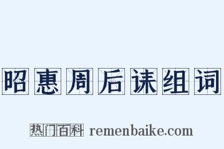 昭惠周后诔组词是什么意思的图片